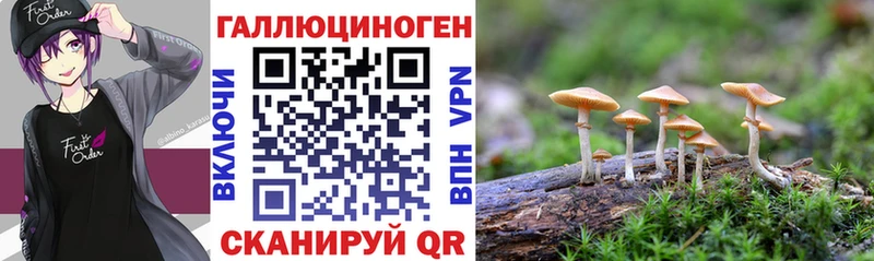 Галлюциногенные грибы прущие грибы  Купить закладки  Агидель 